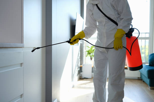 Best Office Mold Removal Services  in Roseburg, OR