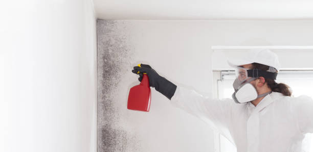 Best Crawl Space Mold Removal  in Roseburg, OR